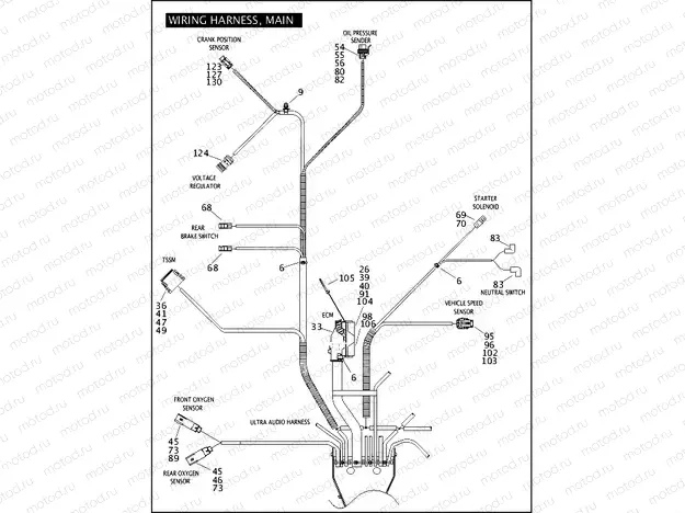 WIRING HARNESS, MAIN (5 OF 6)