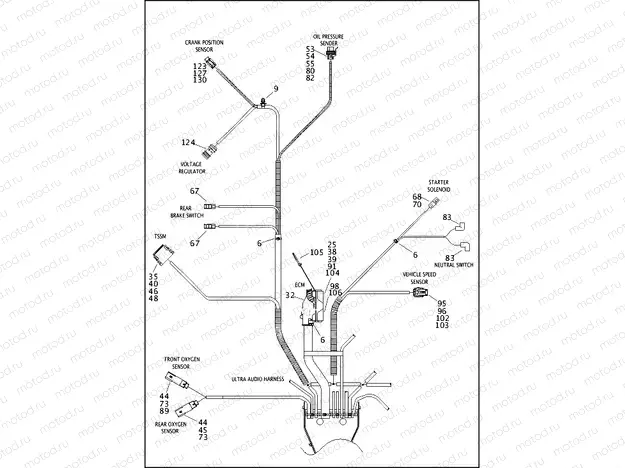 WIRING HARNESS, MAIN (5 OF 6)