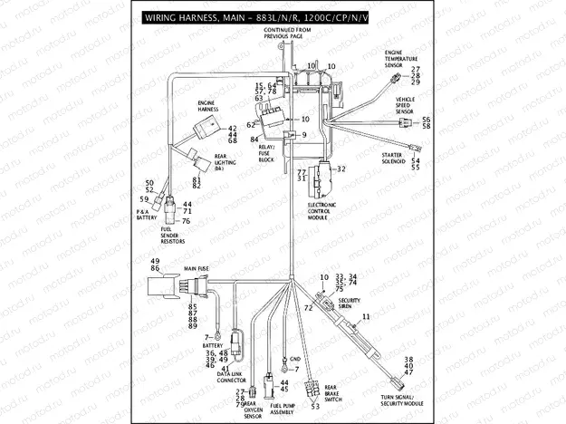 WIRING HARNESS, MAIN - 883L/N/R, 1200C/CP/N/V/X (2 OF 3)