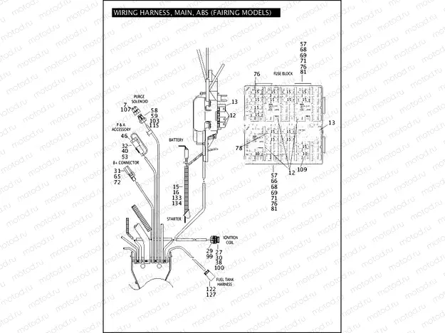 WIRING HARNESS, MAIN, ABS (FAIRING MODELS) (3 OF 6)