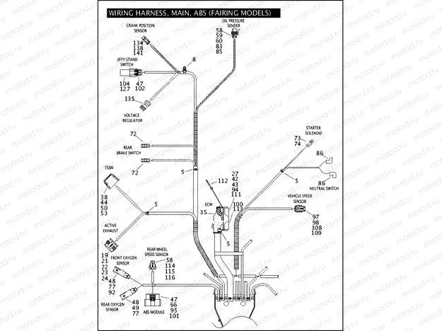 WIRING HARNESS, MAIN, ABS (FAIRING MODELS) (5 OF 6)