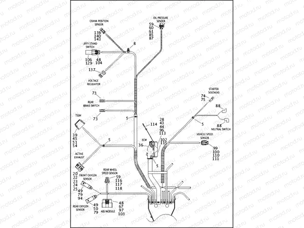 WIRING HARNESS, MAIN, ABS (FAIRING MODELS) (5 OF 6)