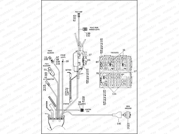 WIRING HARNESS, MAIN, ABS - FLHP (3 OF 5)