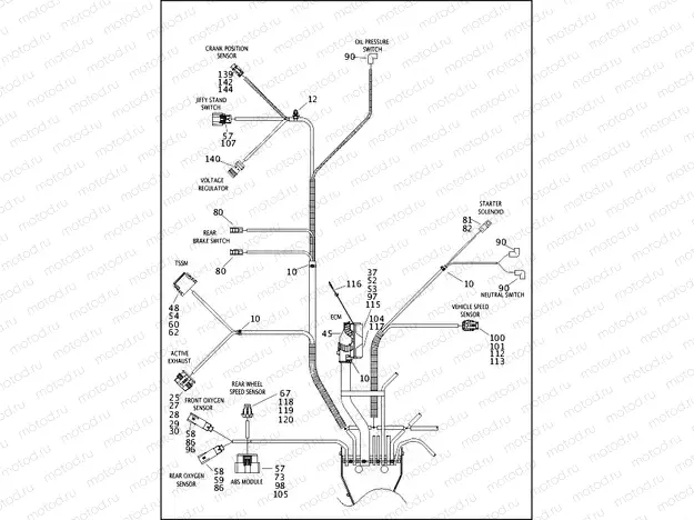 WIRING HARNESS, MAIN, ABS - FLHP (5 OF 5)