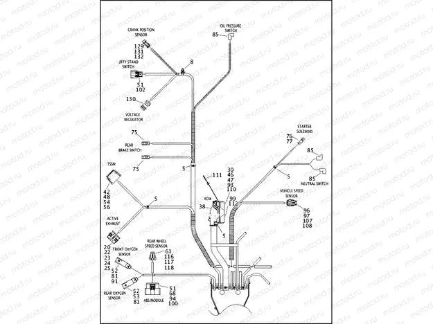 WIRING HARNESS, MAIN, ABS - FLHTP (5 OF 5)