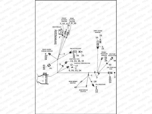 WIRING HARNESS, MAIN, ABS - FLHTP (7 OF 9)