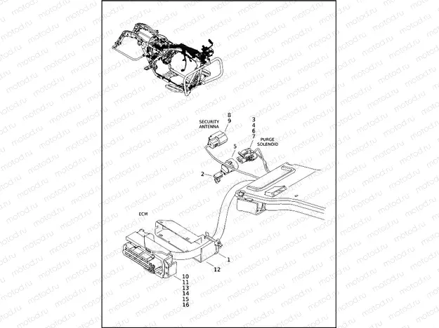 WIRING HARNESS, MAIN, ABS - FLHX, FLHXS AND FLHXST (4 OF 10)