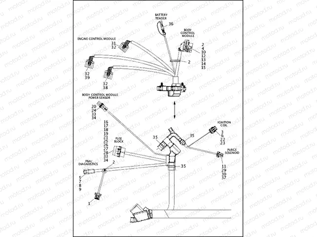 WIRING HARNESS, MAIN, ABS - FXDLS (4 OF 5)