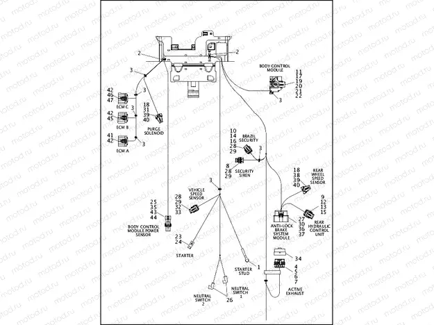 WIRING HARNESS, MAIN, ABS - FXSB (4 OF 5)