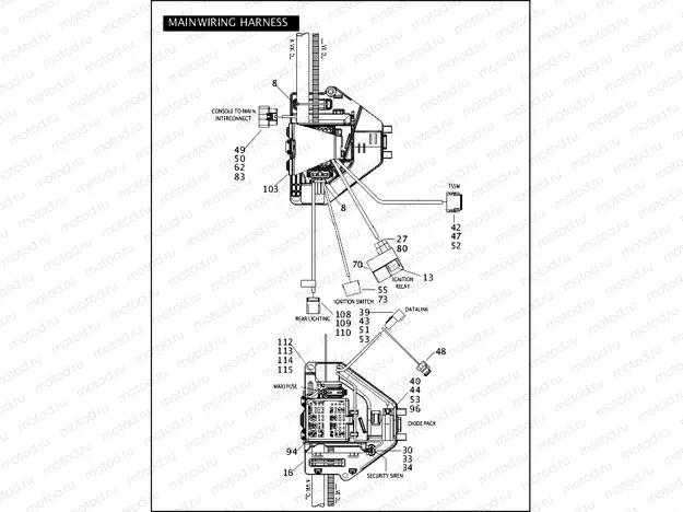 WIRING HARNESS, MAIN (CONTINUED)
