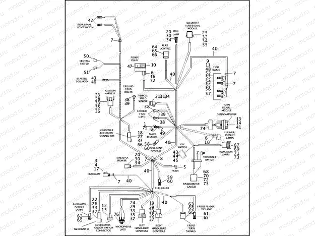 WIRING HARNESS, MAIN - FLHPI/FLHPEI (1 OF 2)