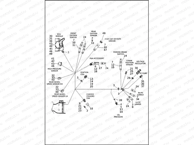 WIRING HARNESS, MAIN - FLHTCUTG (7 OF 9)