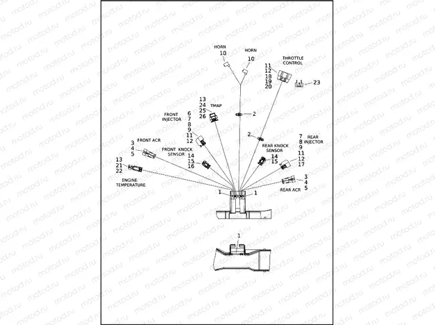WIRING HARNESS, MAIN - FLHTCUTG, FLHTCUTGANV (3 OF 10)