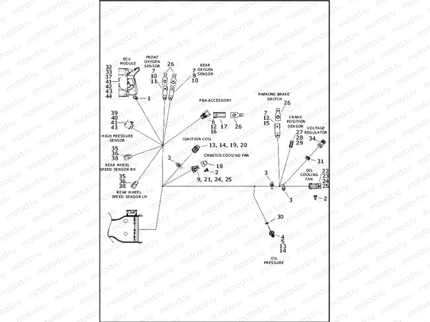 WIRING HARNESS, MAIN - FLRT (7 OF 9)