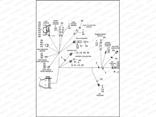 WIRING HARNESS, MAIN - FLRT (7 OF 9)