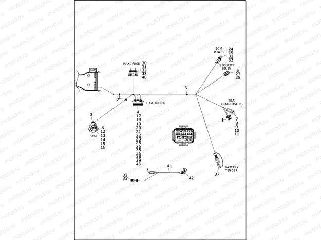 WIRING HARNESS, MAIN - FLRT (8 OF 9)