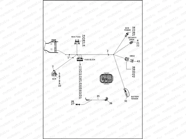 WIRING HARNESS, MAIN - FLRT (8 OF 9)