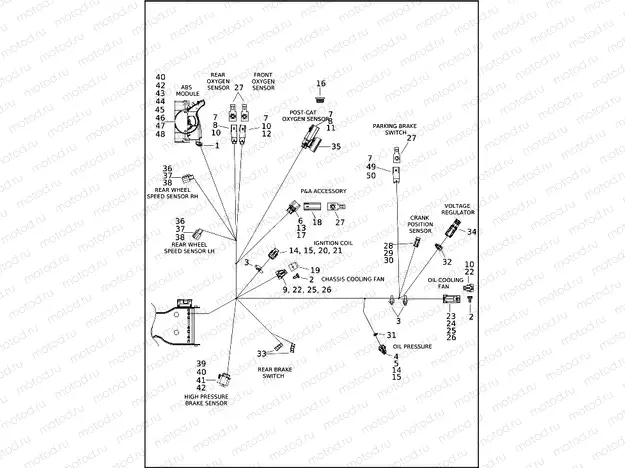 WIRING HARNESS, MAIN - FLTRT (7 OF 9)