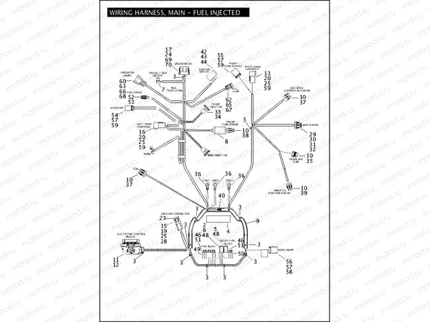 WIRING HARNESS, MAIN - FUEL INJECTED (1 OF 2)