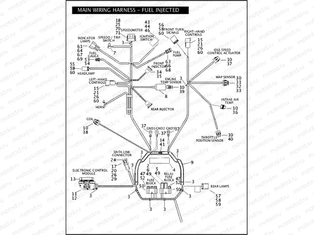 WIRING HARNESS, MAIN - FUEL INJECTED (1 OF 2)