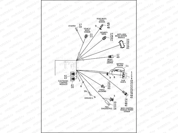 WIRING HARNESS, MAIN, KEYLESS, ABS (3 OF 4)