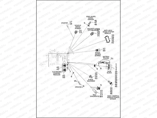 WIRING HARNESS, MAIN, KEYLESS, ABS (3 OF 4)