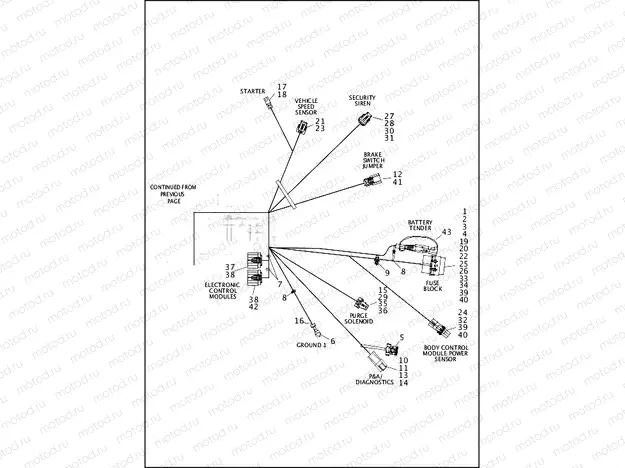 WIRING HARNESS, MAIN, KEYLESS, NON-ABS (3 OF 4)