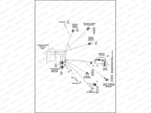 WIRING HARNESS, MAIN, KEYLESS, NON-ABS (3 OF 4)