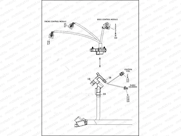WIRING HARNESS, MAIN, NON-ABS (4 OF 6)