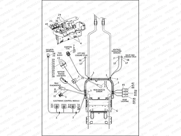 WIRING HARNESS, MAIN, NON-ABS - FLS (3 OF 5)