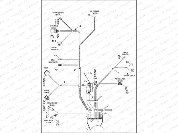 WIRING HARNESS, MAIN, NON-ABS (NON-FAIRING MODELS) (5 OF 5)