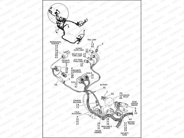 WIRING HARNESS, MAIN NON-ABS - XG750A (REAR UPPER)