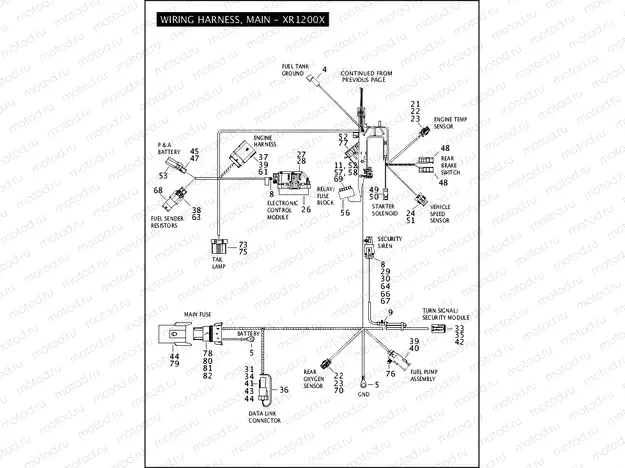 WIRING HARNESS, MAIN - XR1200X (2 OF 3)