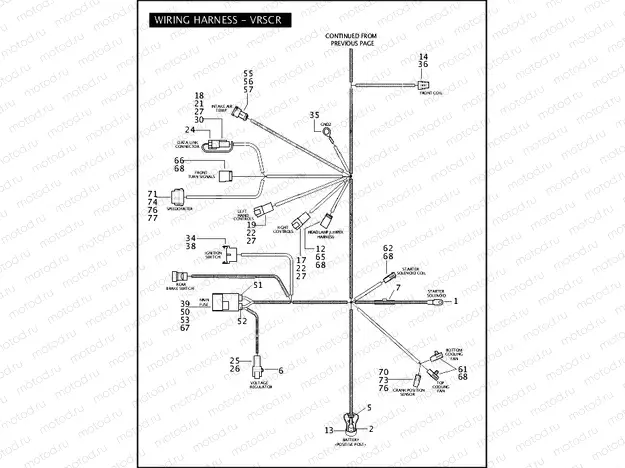WIRING HARNESS - VRSCR (CONTINUED)