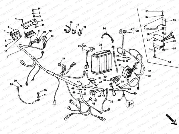 WIRING HARNESS » WIRING HARNESS