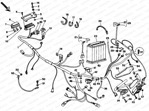 WIRING HARNESS » WIRING HARNESS