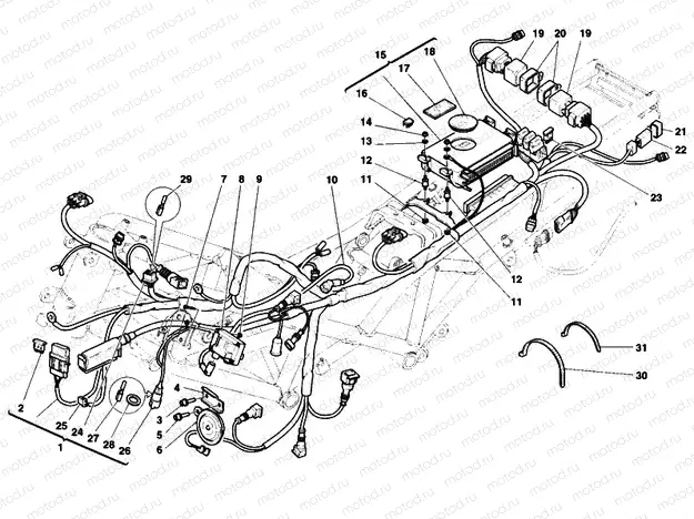 WIRING HARNESS » WIRING HARNESS