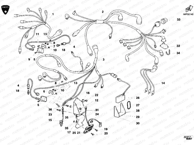 WIRING HARNESS » WIRING HARNESS