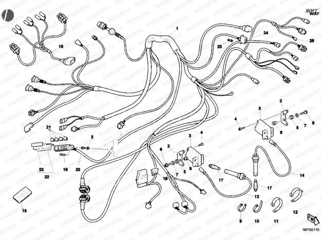 WIRING HARNESS » WIRING HARNESS
